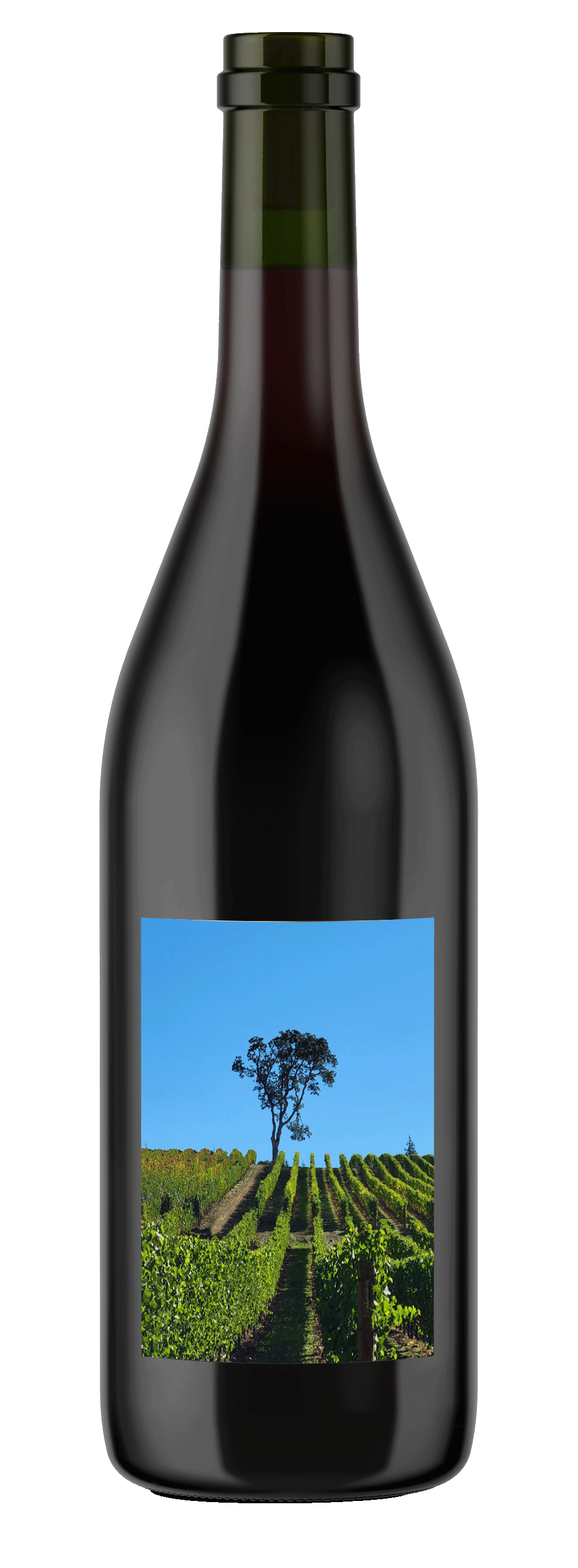 Convergence Zone Cellars Homepage