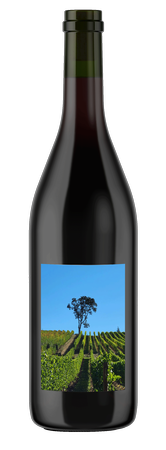 2021 Fly Rod Pinot Noir